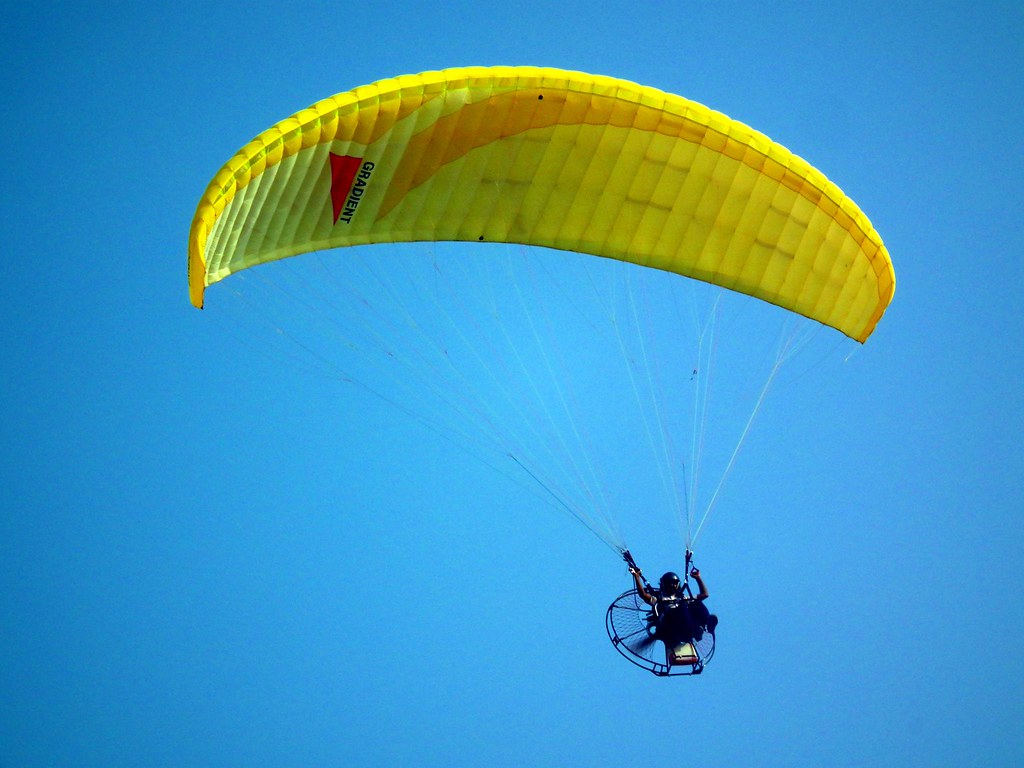 Air India pilot suspension