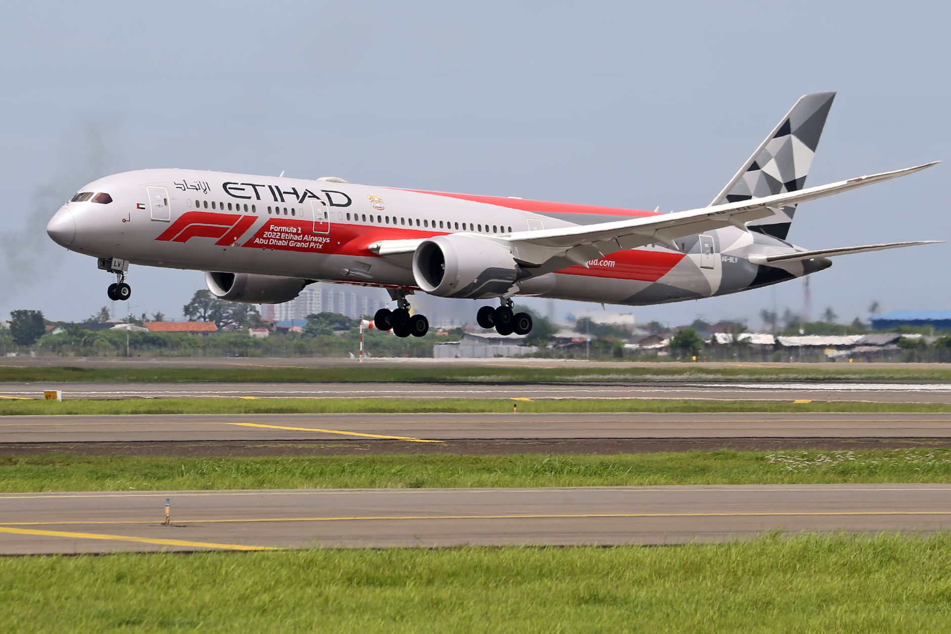 Delhi-Abu Dhabi flight