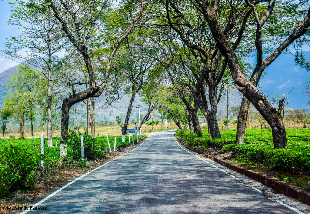 India tourism pitch