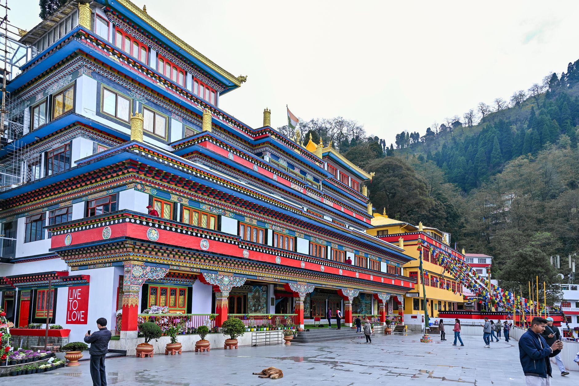 Lachen tourism reopening