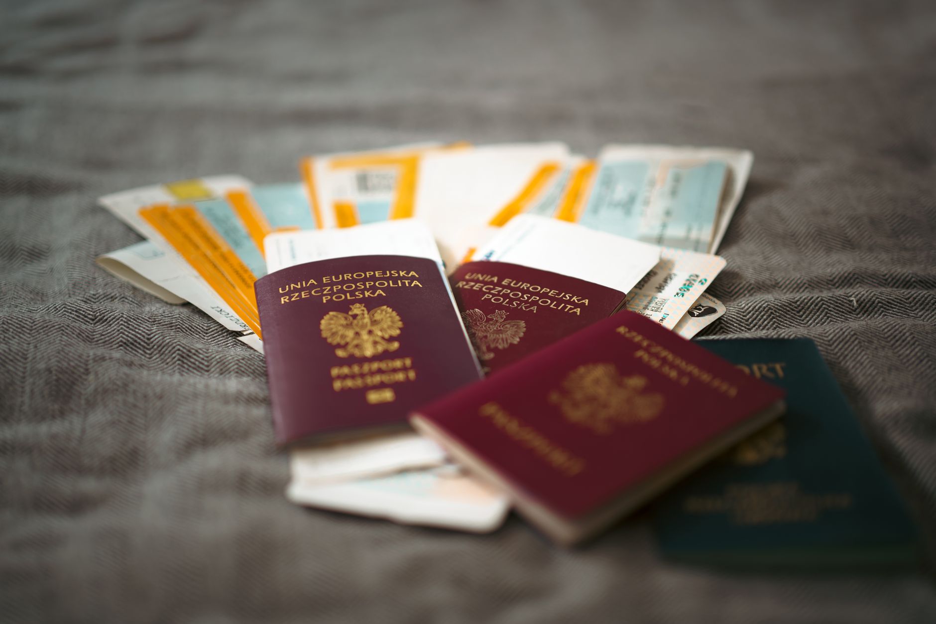 immigration cut plan