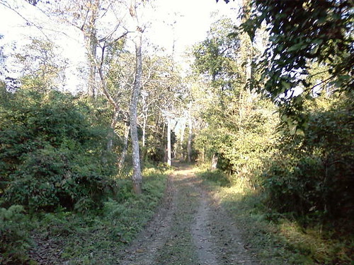 Kaziranga tourist season